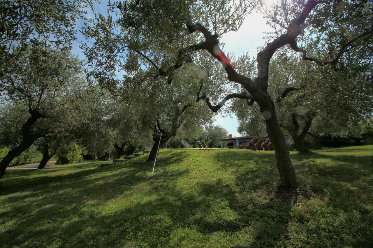 B&B Arli Torrevecchia Teatina Extérieur photo