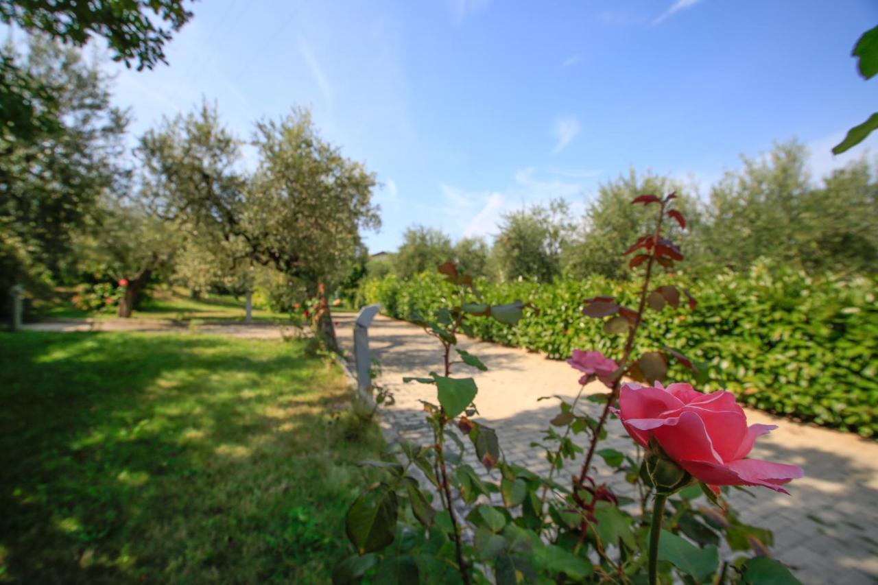 B&B Arli Torrevecchia Teatina Extérieur photo