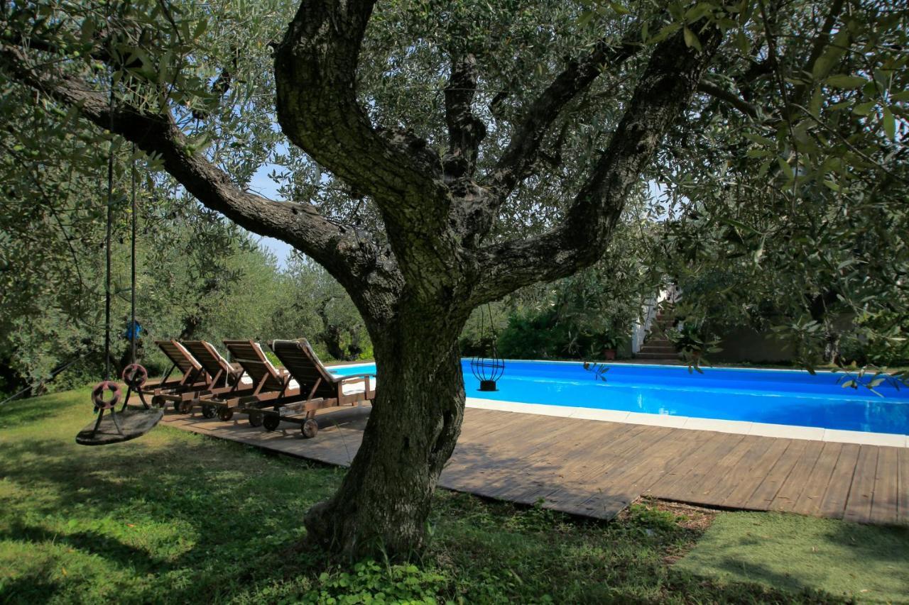 B&B Arli Torrevecchia Teatina Extérieur photo